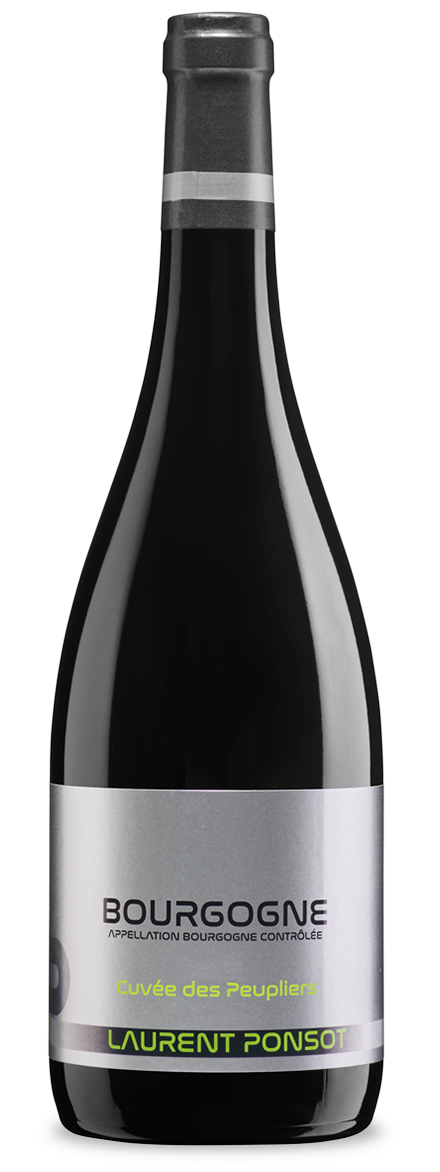 Bourgogne Rouge 2023