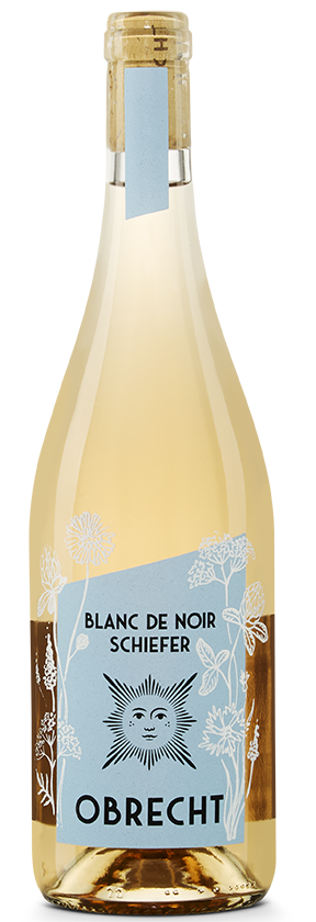 Blanc de Noir Schiefer (Rosé) 2025 Obrecht