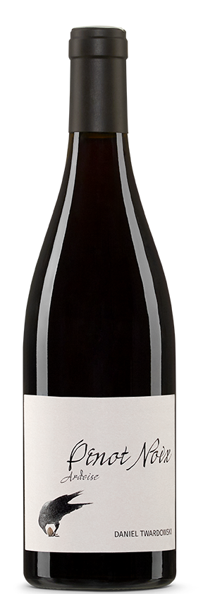 Pinot Noix Ardoise 2021 Weingut Daniel Twardowski