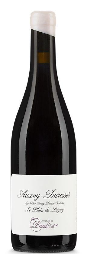 Auxey-Duresses rouge AC 2022 Vignoble de Pauline