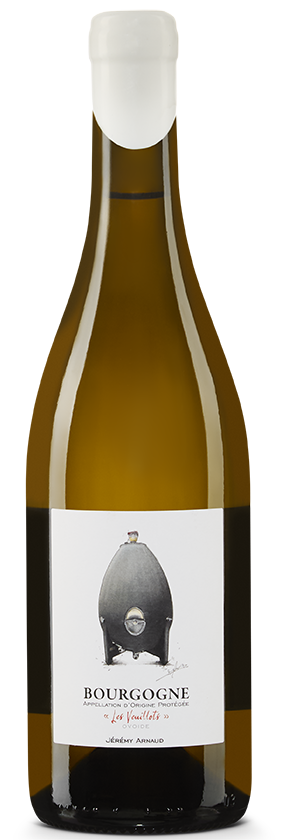 Bourgogne blanc 2023 Domaine Jérémy Arnaud