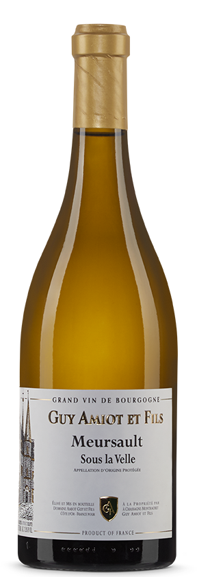 Meursault 2024 Amiot