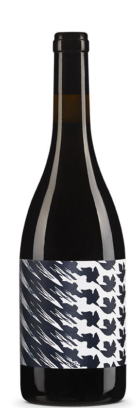 Gamay 2021 Helvetica Fermenti SA