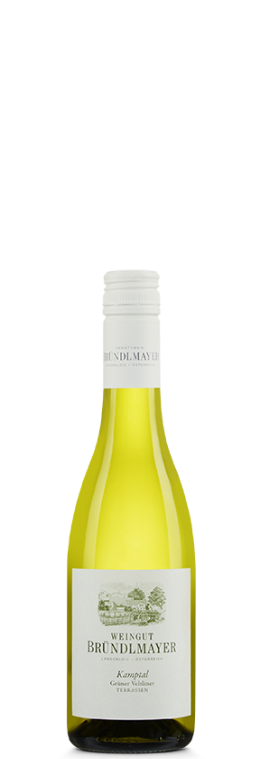 Grüner Veltliner Kamptaler Terrassen 2024 Bründlmayer