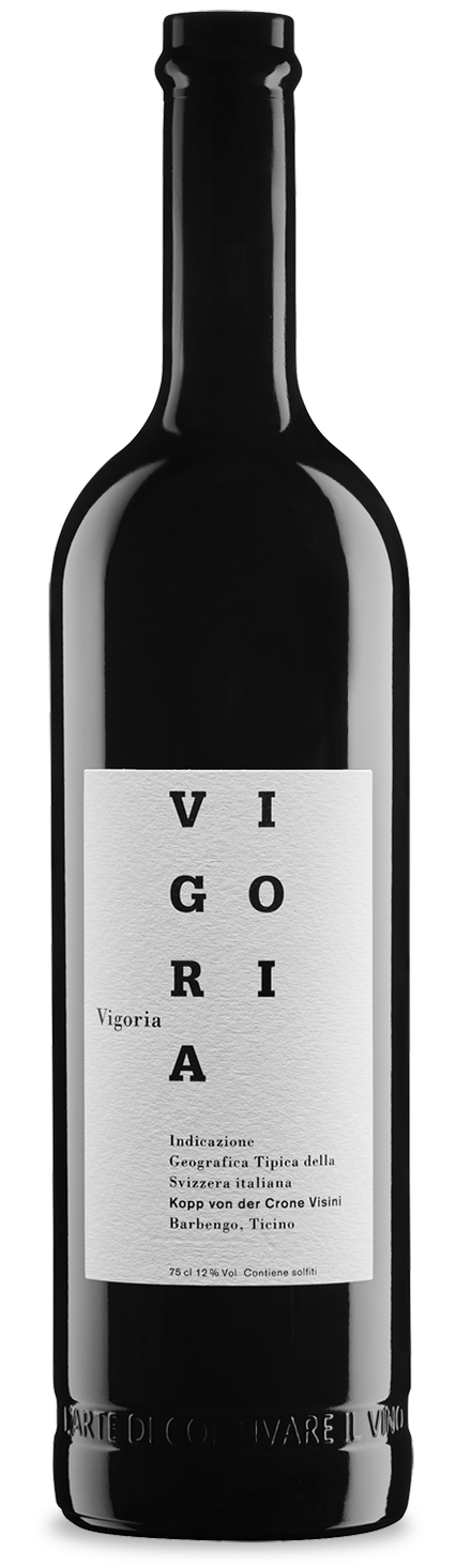 Vigoria Merlot 2024 Kopp von der Crone Visini