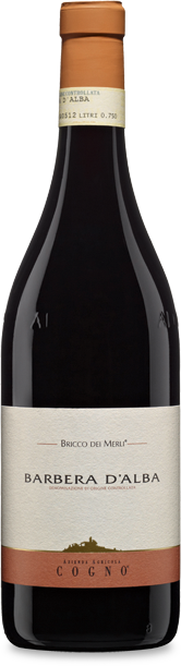 Barbera d'Alba DOC 2023 Azienda Agricola Cogno