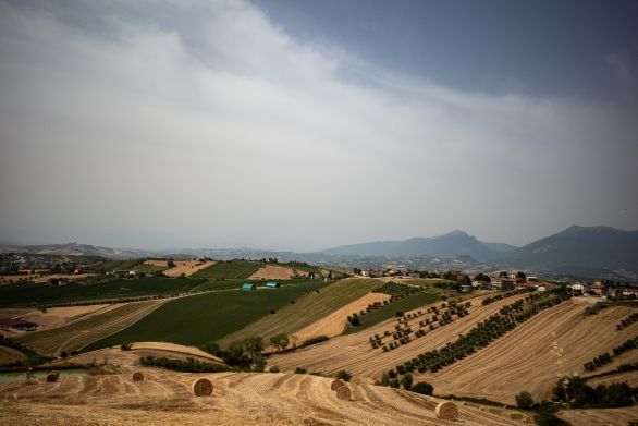 Weine aus der Region Abruzzen