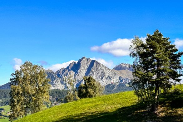 Weine aus der Region Südtirol