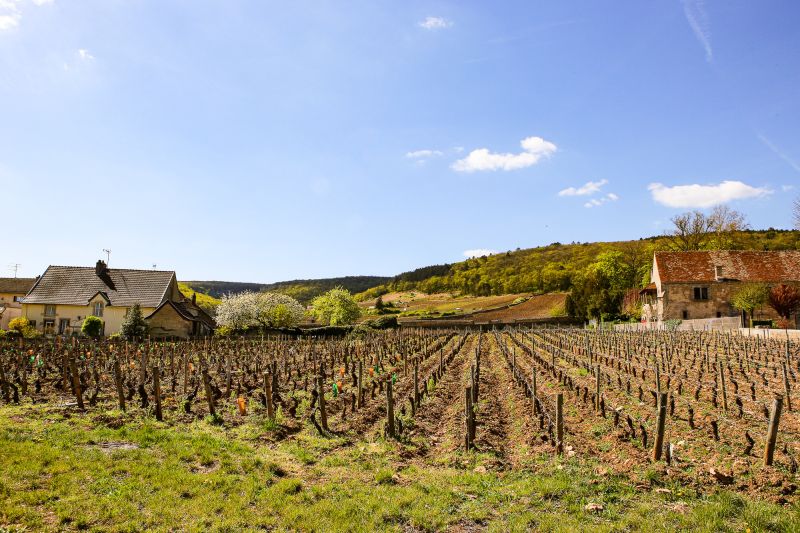 Weine Domaine Armand Rousseau