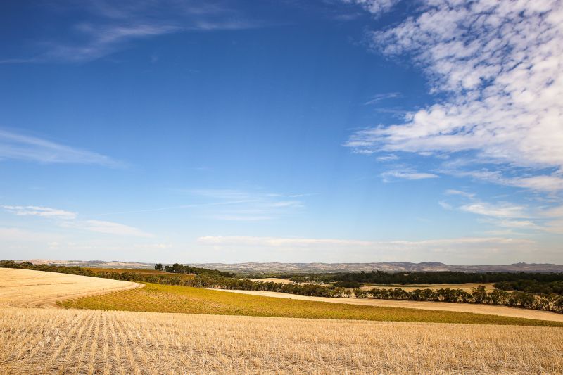 Weine Barossa Valley