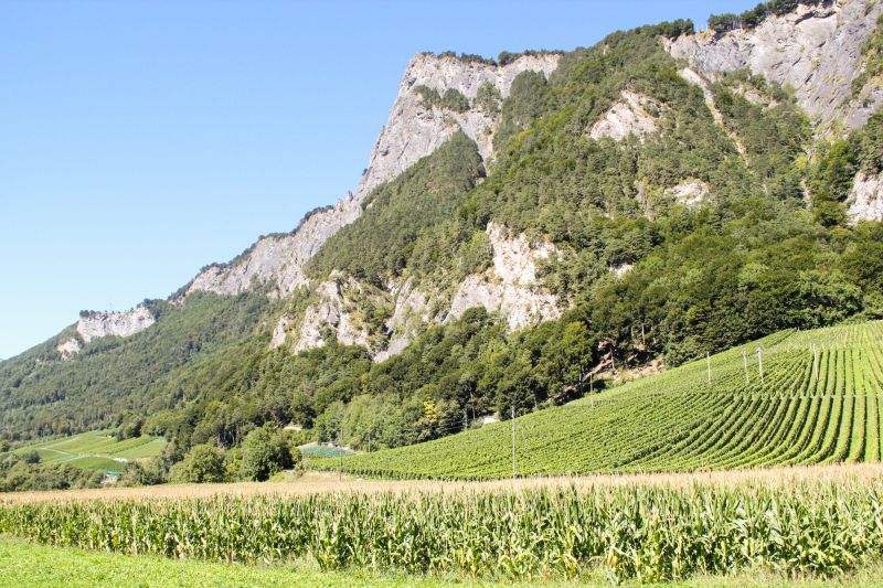 Weine Malans