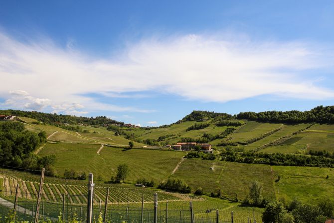 Weine Piemont