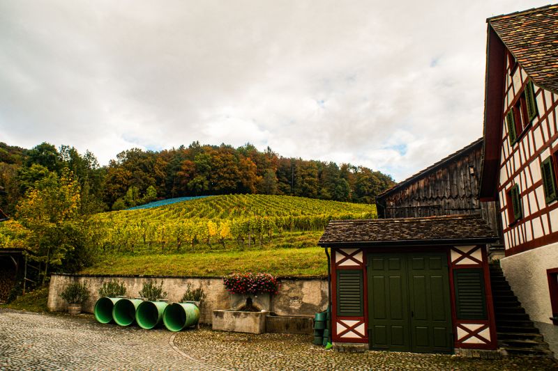 Weine Schlossgut Bachtobel