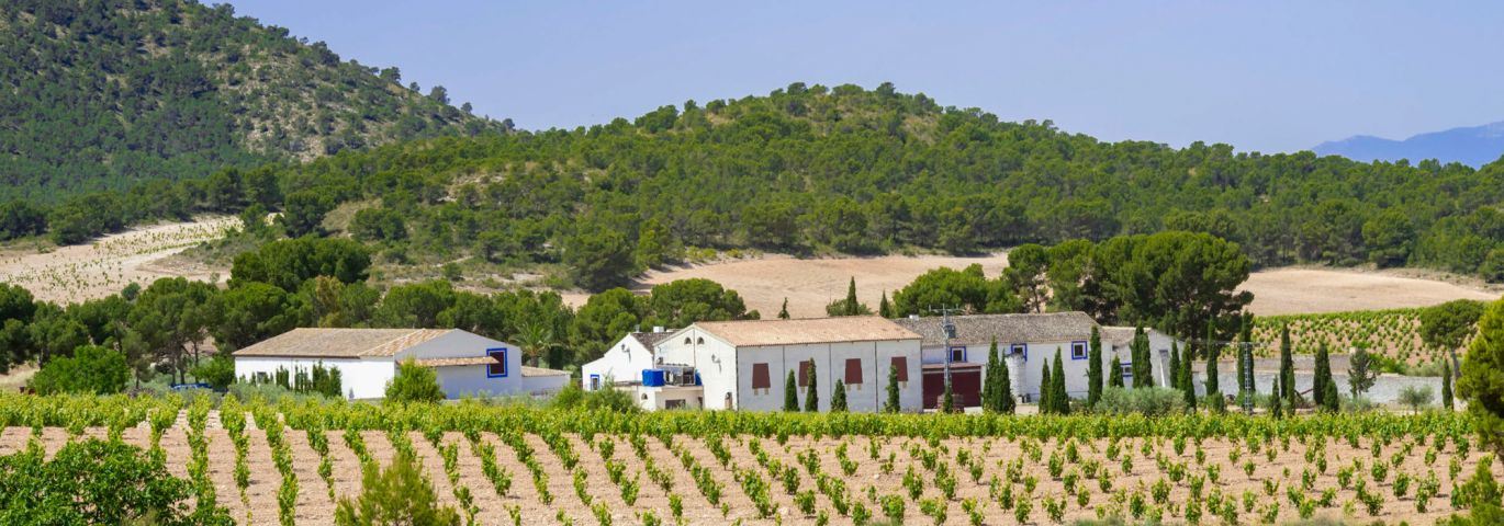 Martel AG - Bodegas Casa Castillo