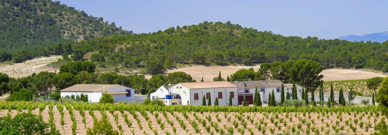 Martel AG - Bodegas Casa Castillo