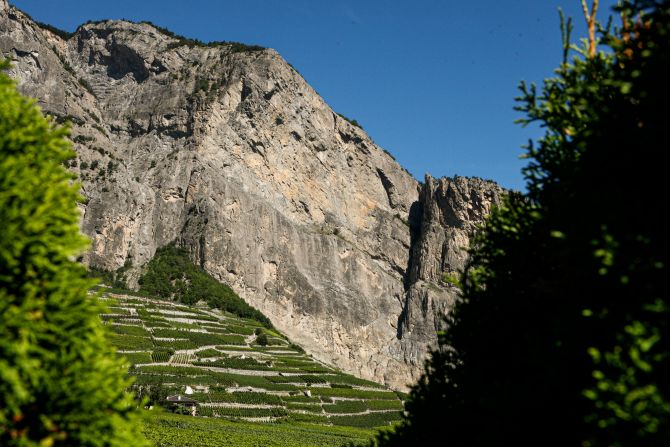 Weine aus der Region Wallis