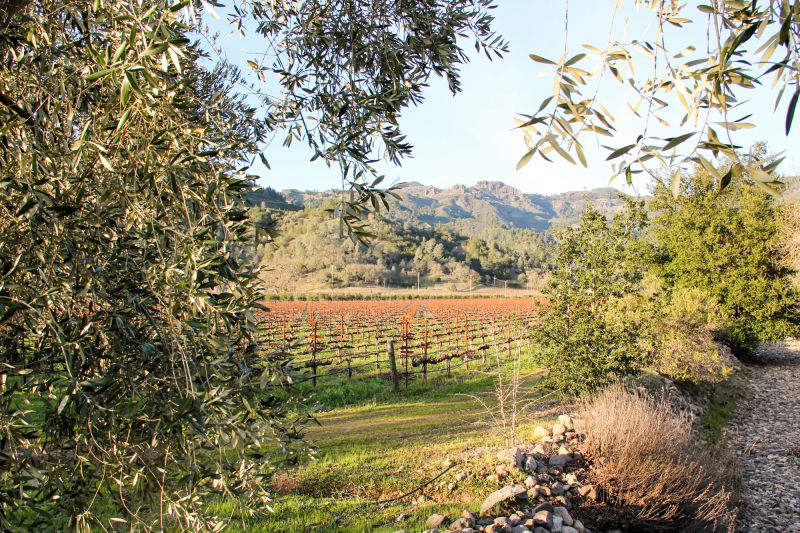 Weine Accendo Cellars