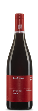 Hallgarten Pinot Noir +++ 2021 Kaufmann