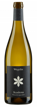 Malanser Weissburgunder Scadena 2024 Wegelin