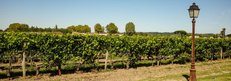 Martel AG - Grand Enclos du Château de Cérons