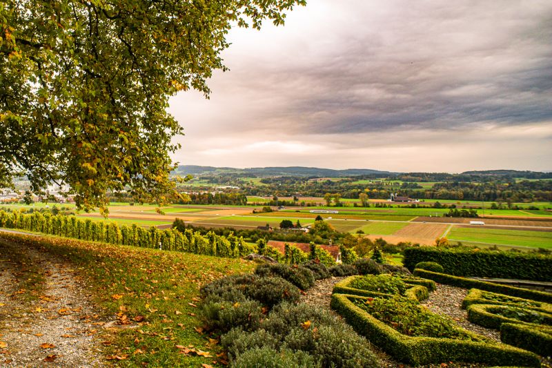 Weine Thurgau