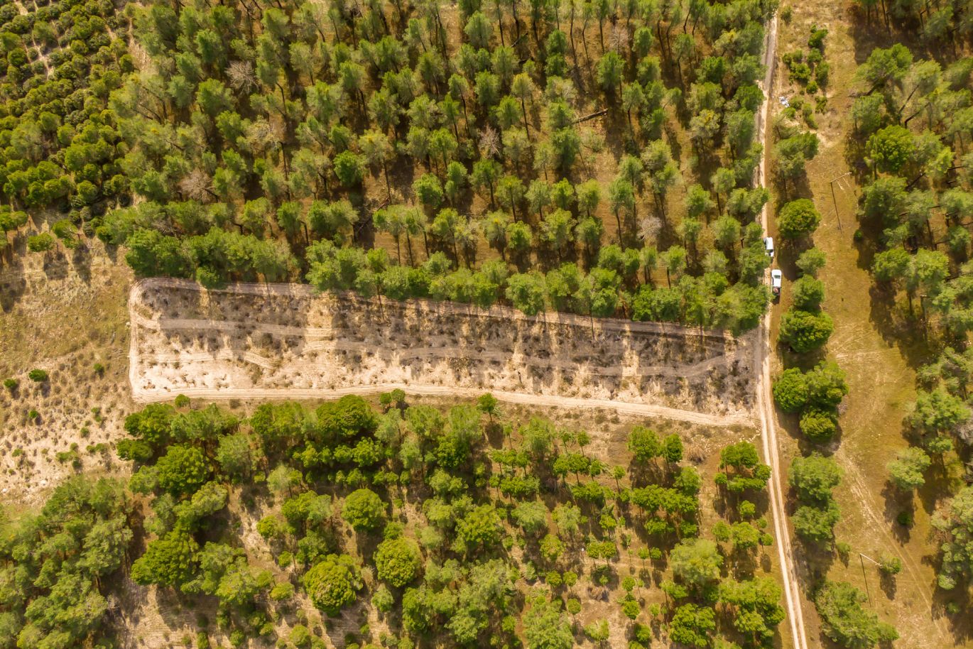 Weingut Ossian Vides y Vinos