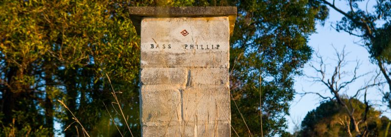 Martel AG - Bass Phillip