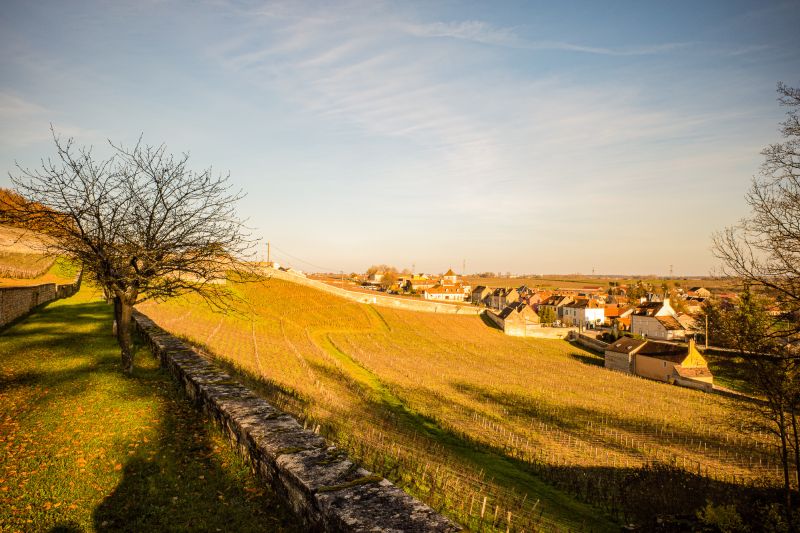 Weingut Domaine de l'Arlot