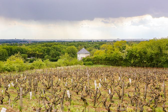 Weine Vouvray