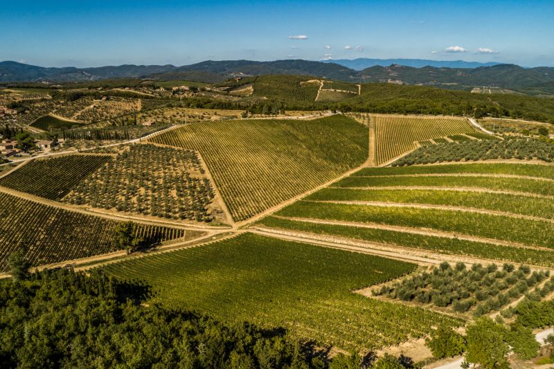Weinregion Toskana