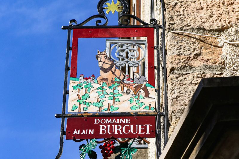 Weine Domaine Alain Burguet