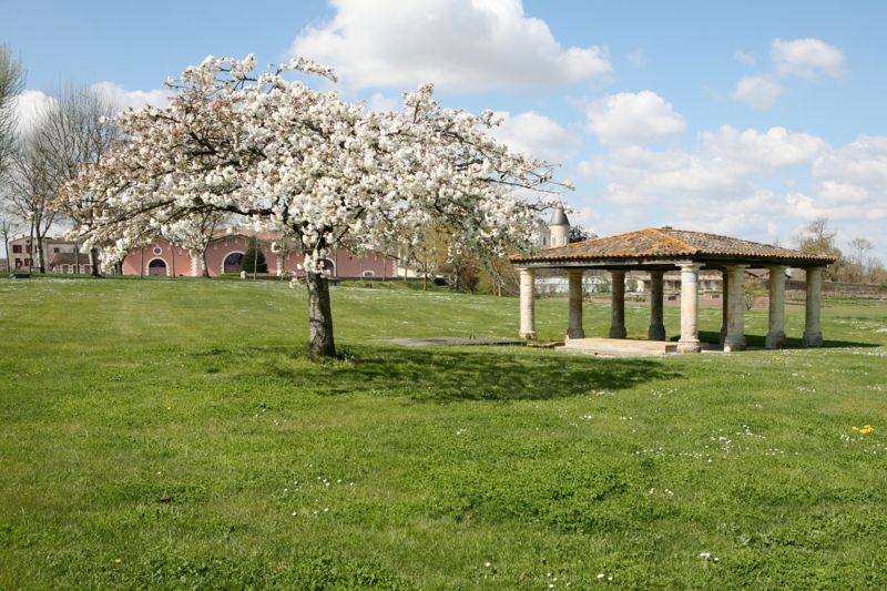 Martel Château Lafite-Rothschild