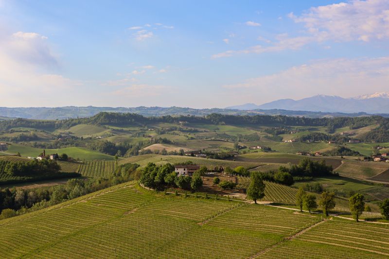 Weine Barbaresco