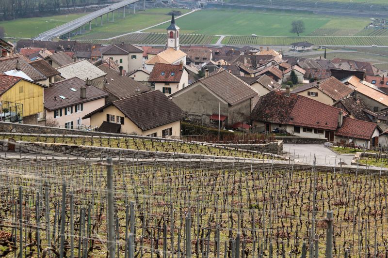 Weingut Commune d'Yvorne