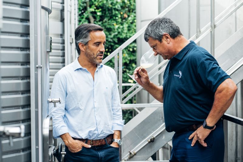 Quinta de Azevedo - Azevedo Loureiro Alvarinho