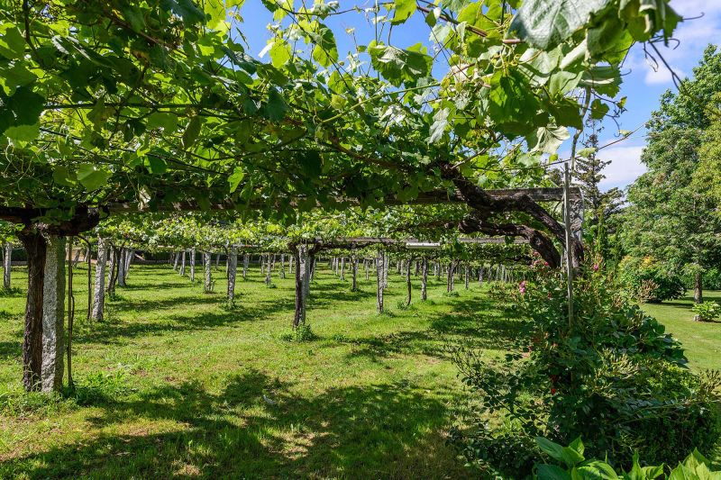 Wein Rias Baixas