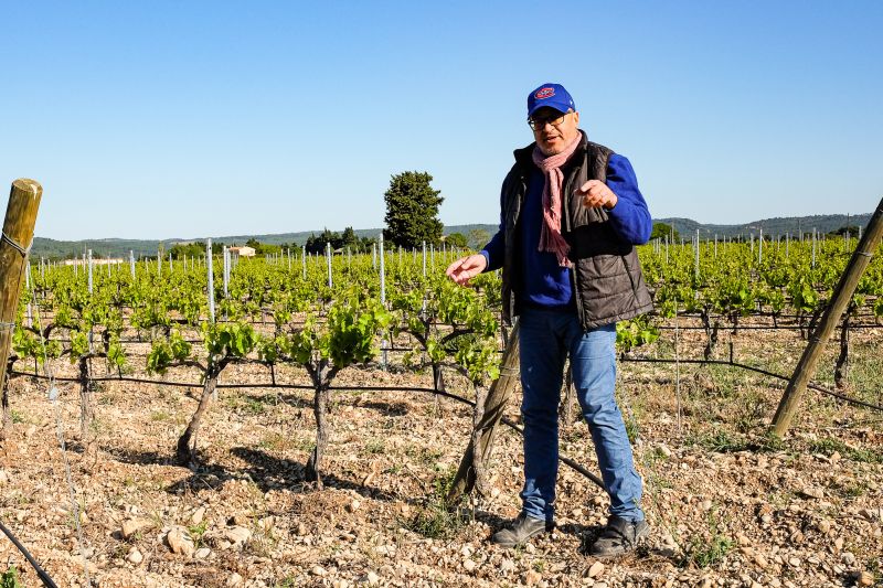 Rotem & Mounir Saouma - Pignan Cuvée Cinsault