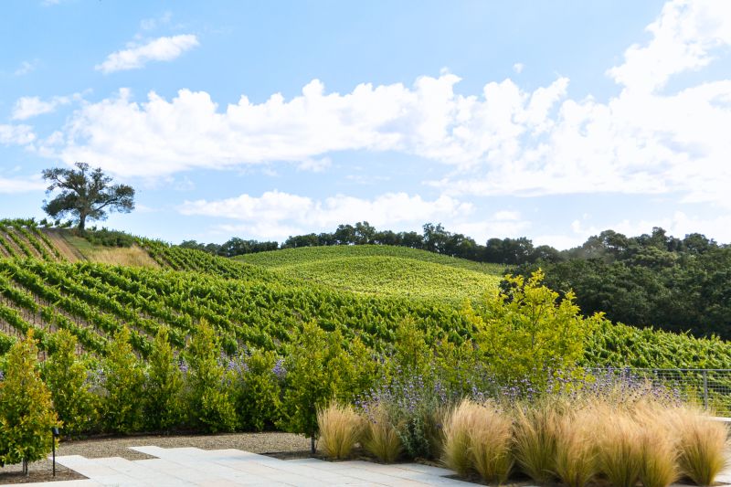 Weine Kistler Vineyards