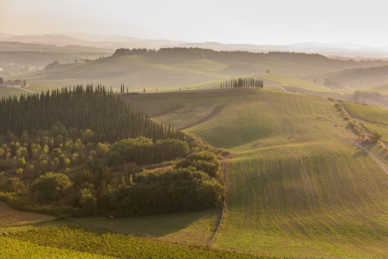 Weingut Tenuta di Bibbiano