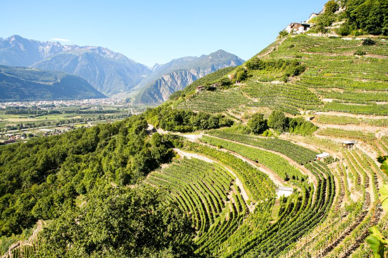 Weinregion Schweiz