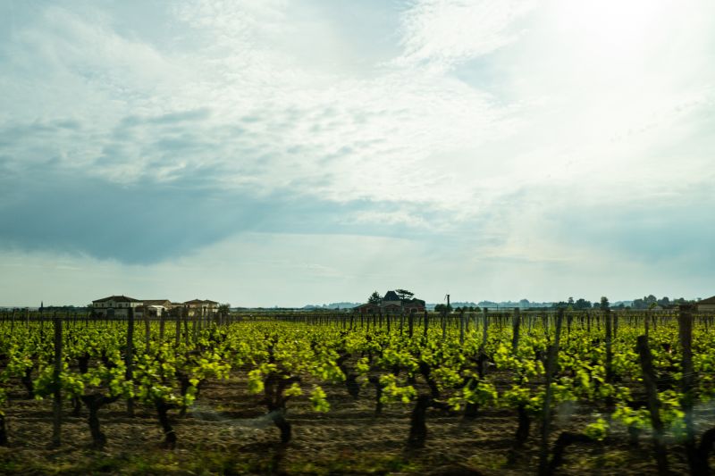 Weine Pomerol