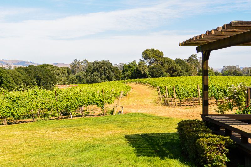 Weingut Hyde & de Villaine