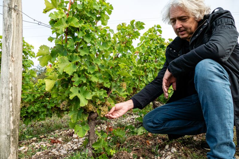 Winzer Domaine Roc de l'Abbaye