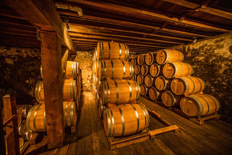 Martel Ridge Vineyards