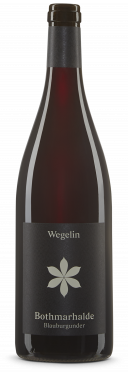 Bothmarhalde Blauburgunder 2023 Wegelin