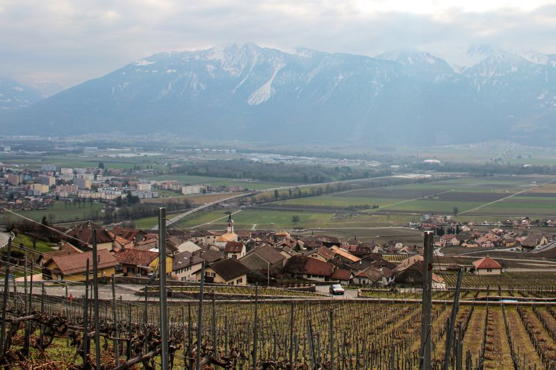 Weine Commune d'Yvorne