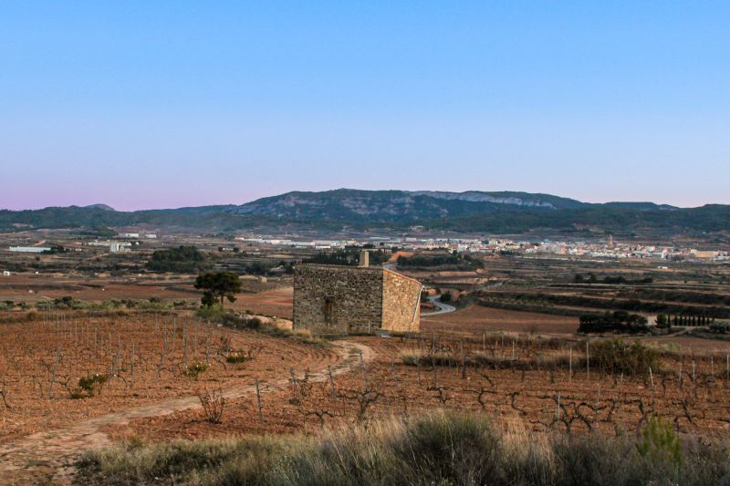 Weine Terra Alta