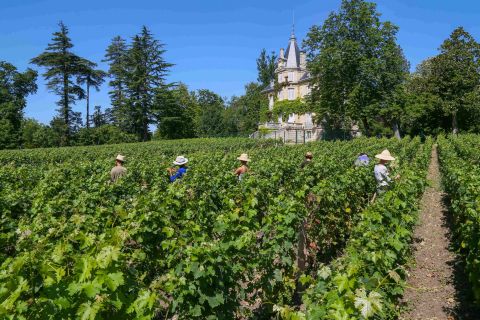 Martel Château Les Carmes Haut-Brion