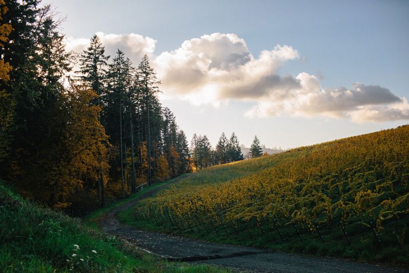 Weingut Beaux Frères