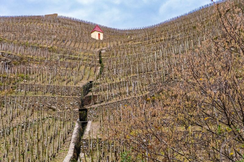 Martel Domaine Rostaing